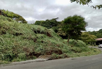 Land For Sale Pará, Santo Domingo, Heredia