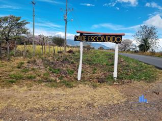 Venta Finca Palmira Cañas Guanacaste 60,7 ha en Palmira, Cañas, Guanacaste — 450 000 000 ₡ - Foto 2 de 26