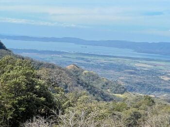 Hermosa Propiedad rodeada de naturaleza. en La Unión, Montes De Oro, Puntarenas — 35 000 000 ₡ - Foto 4 de 11