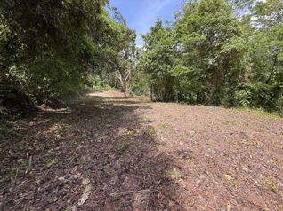 Lote de 5,376 m² en Lomas del Mar, Guanacaste in Sardinal, Carrillo, Guanacaste — $105,000 - Photo 5 of 12