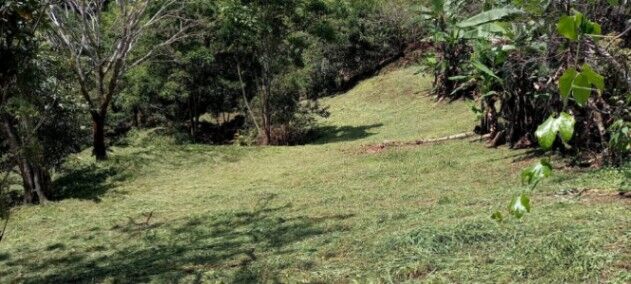 VENDO LOTE EN SANTIAGO DE PURISCAL. en Santiago, Puriscal, San José — ₡ 40 000 000