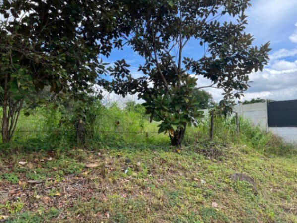 Lote en venta en San Pablo de Turrubares #26-1314 GS en San Pablo, Turrubares, San José — $60,000