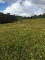 🏞️ LOTE CON GRAN POTENCIAL DE DESARROLLO📍 Tilarán, Guanacaste in Tilarán, Guanacaste — 70 000 000 ₡ - Photo 2 of 4