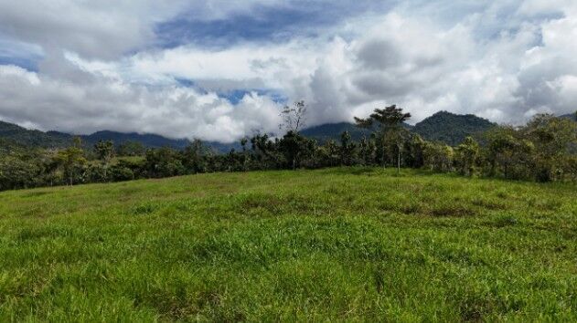 Venta de Lote de Lujo en Santa Elena, Naturaleza, Privacidad y Excelente Ubicación in San Isidro De El General, Pérez Zeledón, San José — $65,000