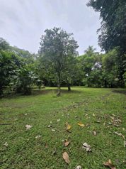 LOTE EN HOME CREEK, LIMON. en Cahuita, Talamanca, Limón — $128,000 - Foto 2 de 8