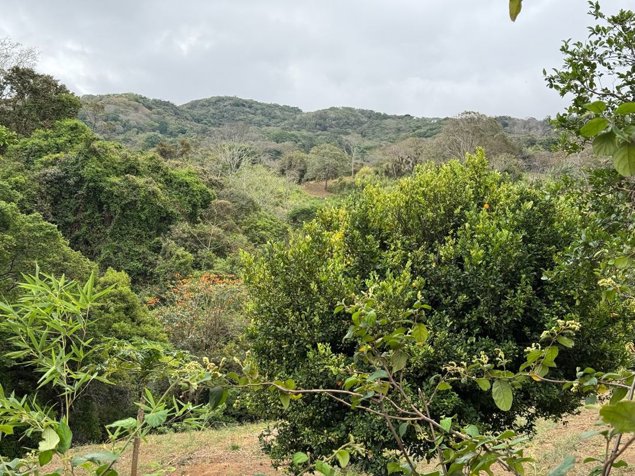 Lote en Piedades de Santa Ana. 3821 metros in Piedades, Santa Ana, San José — $325,000 - Photo 3 of 20