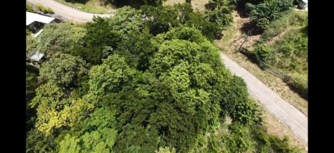 Venta de Lote en  Santa Cruz-Tamarindo, Guanacaste. RAH 26-341  in Tamarindo, Santa Cruz, Guanacaste — $490,000