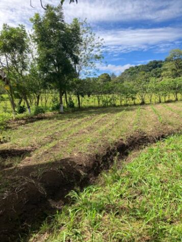 DE OPORTUNIDAD 2BELLAS PROPIEDADES EN ATENAS.  en Atenas, Alajuela — ₡ 50 000 000