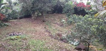 Farm For Sale Atenas, Atenas, Alajuela