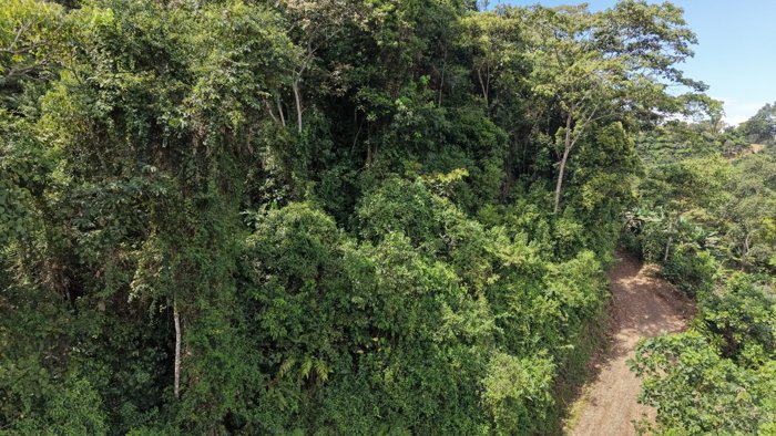TERRENO LISTO PARA CONSTRUIR CON BOSQUE Y ARROYO CERCA DEL CHIRRIPO en Rivas, Pérez Zeledón, San José — $250,000 - Foto 2 de 8