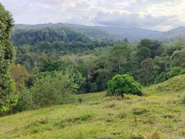 Propiedad exclusiva en San Rafael de Cañaza, Puntarenas, Costa Rica. en Puerto Jiménez, Golfito, Puntarenas — $650,000