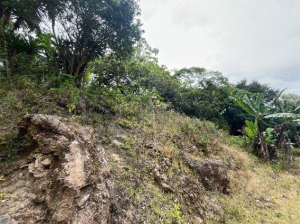 Venta de Quinta en Alvarado, Cartago.  in Cervantes, Alvarado, Cartago — ₡ 80 000 000