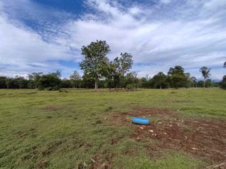 For Sale: Cattle Ranch, Heredia, Sarapiquí. 5PVV9294333