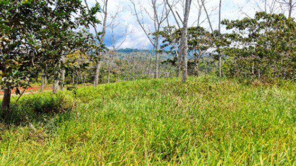 SE VENDE LOTE PREMIUM CON AREA PLANA Y QUEBRADA EN SANTA ROSA en Río Nuevo, Pérez Zeledón, San José — $55,999