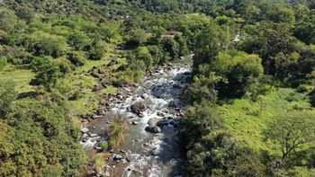 FOR SALE: 10.9 HA FARM FACING THE RIVER IN VALLE DEL CHIRRIPO, SAN FRANCISCO DE RIVAS in Rivas, Pérez Zeledón, San José — $1,230,000 - Photo 4 of 14