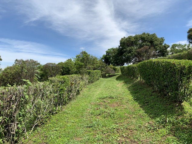 VENTA TERRENOS DE DESARROLLO O RESIDENCIAL, HEREDIA, BUENA VISTA in San Pablo, Barva, Heredia — $155,000 - Photo 3 of 15