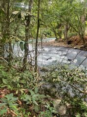 SE VENDE ESPECTACULAR FINCA EN GUATUSO DE ALAJUELA.  en Katira, Guatuso, Alajuela — $350,000 - Foto 4 de 9