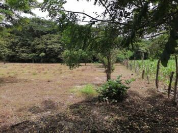 MLS-25-1061 VENTA LOTE CARRILLO GUANACASTE en Belén, Carrillo, Guanacaste — 50 000 000 ₡ - Foto 4 de 6