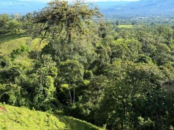 Quintas con Vista 360 al Volcán y Cerro Chato La Fortuna en La Fortuna, San Carlos, Alajuela — 150 000 000 ₡ - Foto 5 de 7