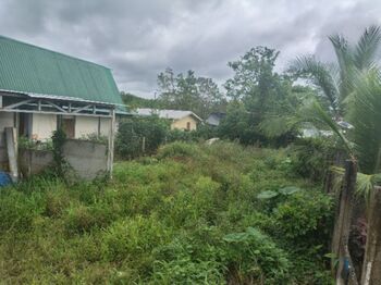 Lote de 249m² en Sonafluca La Fortuna en La Fortuna, San Carlos, Alajuela — 12 000 000 ₡ - Foto 4 de 10