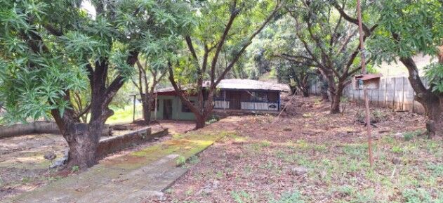 Terreno con Cabañas y Árboles Frutales Cerca de Orotina en San Pablo, Turrubares, San José — $40,000