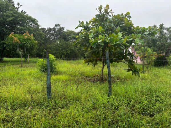 Lote guanacaste  en Liberia, Guanacaste — ₡ 11 000 000