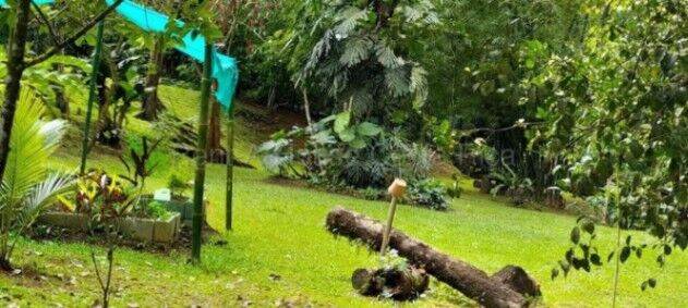 MLS-26-1955 KQ VENTA FINCA GRECIA ALAJUELA CONTACTENOS AL # 88987222 en Grecia, Alajuela — ₡ 163 000 000