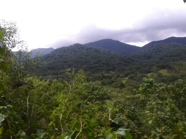 Venta Fincas en Hojancha Guanacaste en Hojancha, Guanacaste — $12,000,000 - Foto 2 de 23