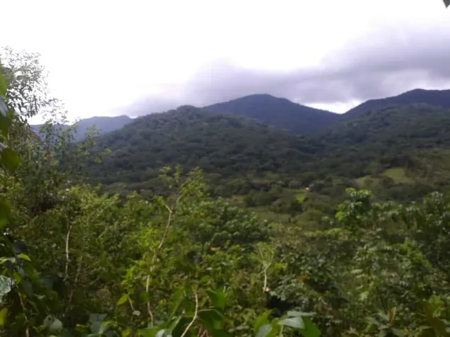Venta Fincas en Hojancha Guanacaste en Hojancha, Guanacaste — $12,000,000 - Foto 2 de 23