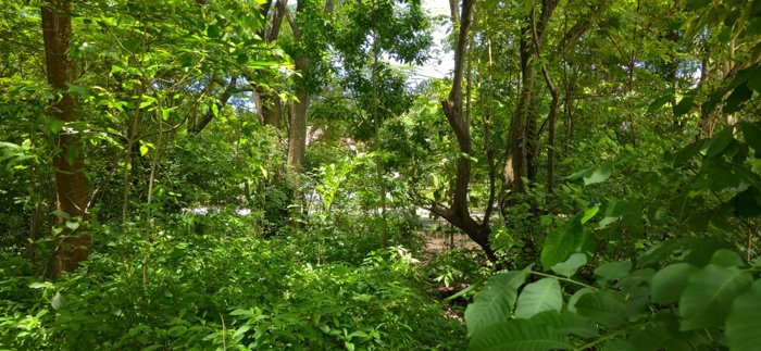Lote en Venta, Playa Hermosa, Guanacaste. Playa muy Cerca 5PDN9280176 in Sardinal, Carrillo, Guanacaste — $1,007,000 - Photo 3 of 20