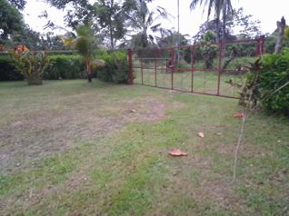 SE VENDEN 2 BELLÍSIMAS PROPIEDADES CON 2 CASAS EN SAN CARLOS, ALAJUELA. en Florencia, San Carlos, Alajuela — 42 000 000 ₡ - Foto 4 de 17