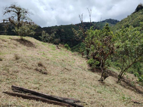 Venta Quinta San Carlos de El Guarco in San Isidro, León Cortés Castro, San José — ₡ 41 000 000