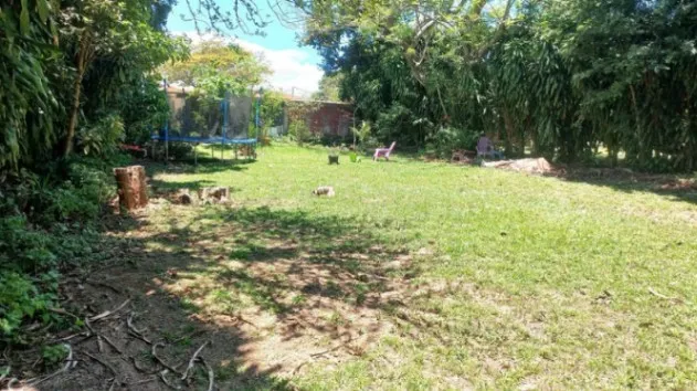Se vende amplia propiedad con 2,254m2 en Tambor Alajuela 25-1768 in Tambor, Alajuela — $350,000 - Photo 3 of 22