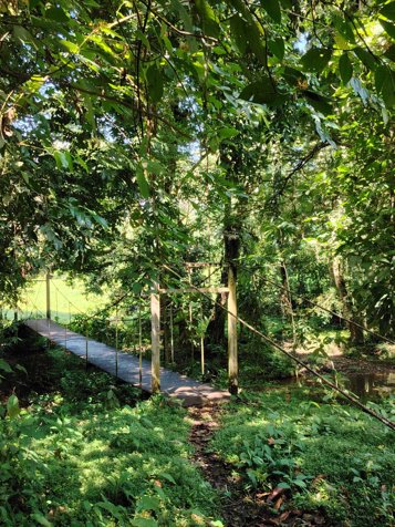 SE VENDE FINCA EN HORQUETAS DE SARAPIQUÍ en Las Horquetas, Sarapiquí, Heredia — ₡ 150 000 000 - Foto 3 de 6