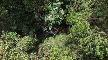 SE VENDE TERRENO LISTO PARA CONSTRUIR CON RIOS Y FINANCIAMIENTO EN SAN FRANCISCO DE CAJON en Cajón, Pérez Zeledón, San José — 60 000 000 ₡ - Foto 3 de 10