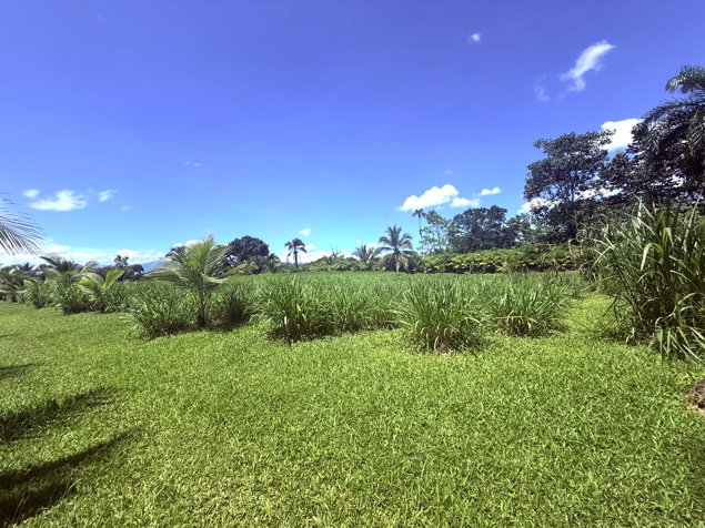Venta de terreno en Las Horquetas de Sarapiquí. in Las Horquetas, Sarapiquí, Heredia — $172,379 - Photo 3 of 3