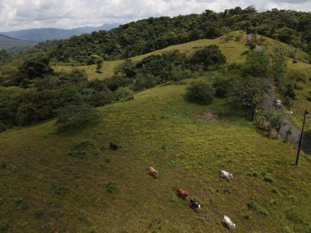 Finca con Vista al Volcán a 35 minutos de La Fortuna en La Fortuna, San Carlos, Alajuela — ₡ 220 000 000