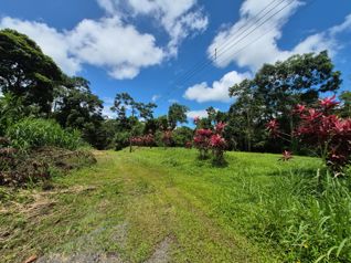 🌿 LOTE EN VENTA EN BUENOS AIRES – CALLE MANZANO en Guápiles, Pococí, Limón — 35 000 000 ₡ - Foto 3 de 6