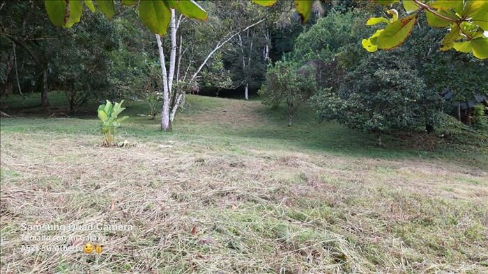 VENTA DE FINCA, PUNTARENAS, GOLFITO en Golfito, Puntarenas — $320,000