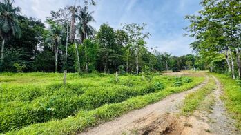 Terreno a la venta en Puerto Viejo, Limón en Cahuita, Talamanca, Limón — $90,000 - Foto 5 de 15