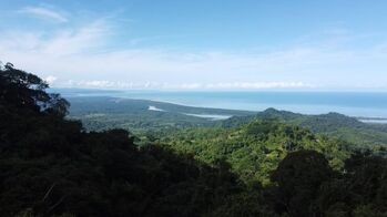 Terreno ,plano listo para construir . en Puerto Cortés, Osa, Puntarenas — $500,000 - Foto 5 de 9