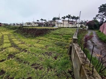 Se vende lote con oportunidad de inversión en San Pablo Heredia 25-868 in San Pablo, Heredia — 79 500 000 ₡ - Photo 4 of 12