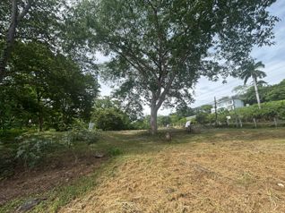 Lote en Venta, Playa Hermosa, Guanacaste, sobre Carretera 5PDN9285576 en Sardinal, Carrillo, Guanacaste — $300,000 - Foto 5 de 17