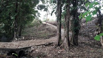 VENTA DE FINCA, USO MIXTO, ALAJUELA, SAN CARLOS, LA TIGRA en La Tigra, San Carlos, Alajuela — 160 000 000 ₡ - Foto 2 de 10