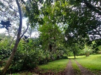 Se vende moderna propiedad de 5000m2 en San Antonio de Belén 26-673 in San Antonio, Belén, Heredia — $860,000 - Photo 5 of 22