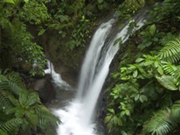 Espectacular finca con cascada natural y vista al Volcán Arenal en Venecia, San Carlos, Alajuela — $448,600
