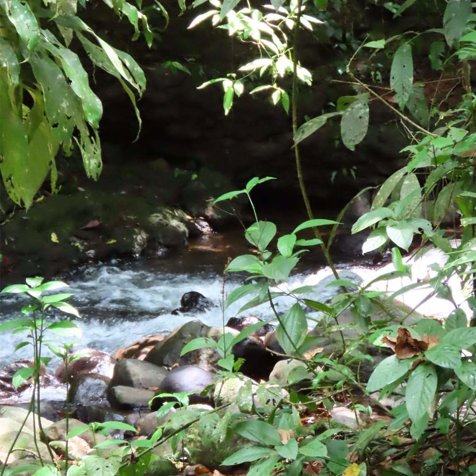 TERRENO EN BAJO RODRÍGUEZ en Rodríguez, Sarchí, Alajuela — $60,000 - Foto 2 de 8