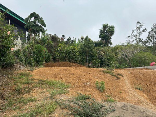 Vendo lote en Santiago de San Ramón, Calle Zeledón en Santiago, San Ramón, Alajuela — ₡ 18 500 000