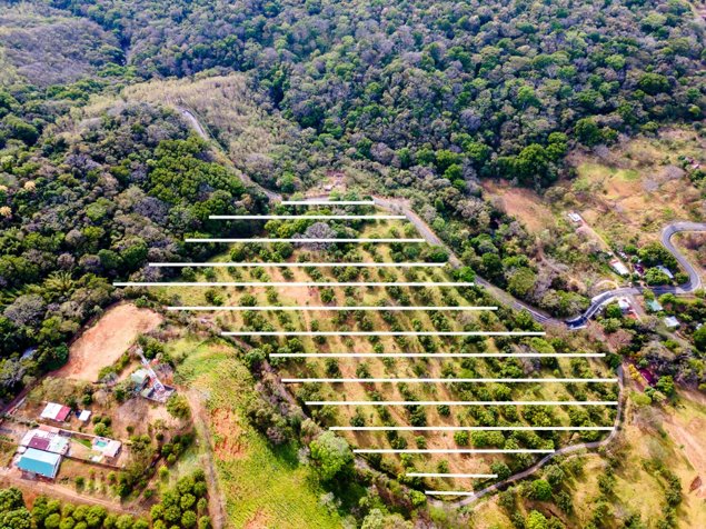 Se Vende Finca de 9 Ha. en Higuito.  Multiples Oportunidades. in San Mateo, Alajuela — $1,350,000 - Photo 2 of 25