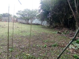 VENTA DE TERRENO EN SANTO DOMINGO, HEREDIA 🌳 in Santo Tomás, Santo Domingo, Heredia — 120 000 000 ₡ - Photo 4 of 10